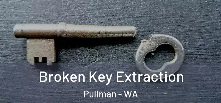  Broken Key Extraction Pullman - WA
